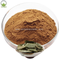 Top Grade Epimedium Extract Icariin 10% 20% 98%